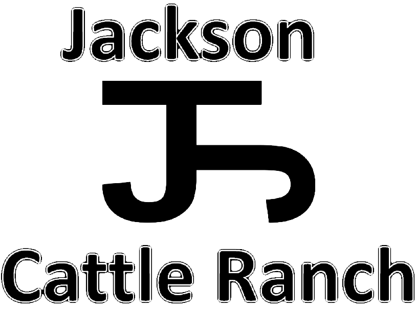 Silhouette of a person sitting on a chair, symbolizing relaxation or contemplation. The image uses a minimalist design with a solid black figure against a light background, suitable for themes related to mindfulness, meditation, or personal well-being.